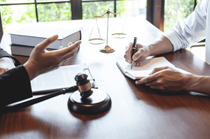Legal Advice and Consultation